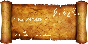 Juha Ádám névjegykártya