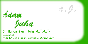 adam juha business card